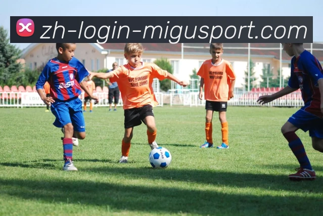 多媒体互动体验