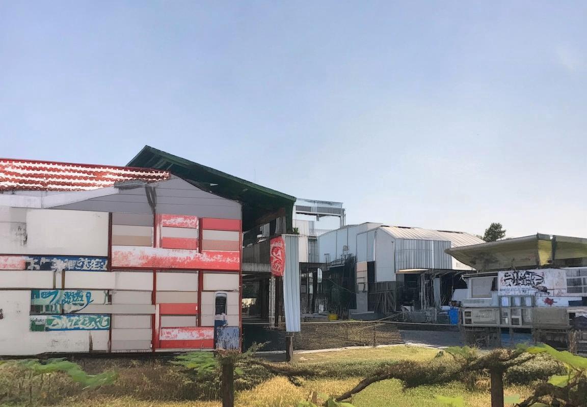 贝林厄姆：足球新星闪耀国际赛场成长之路